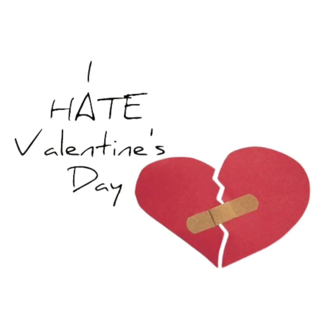 Sad Valentine's Day DP (9)